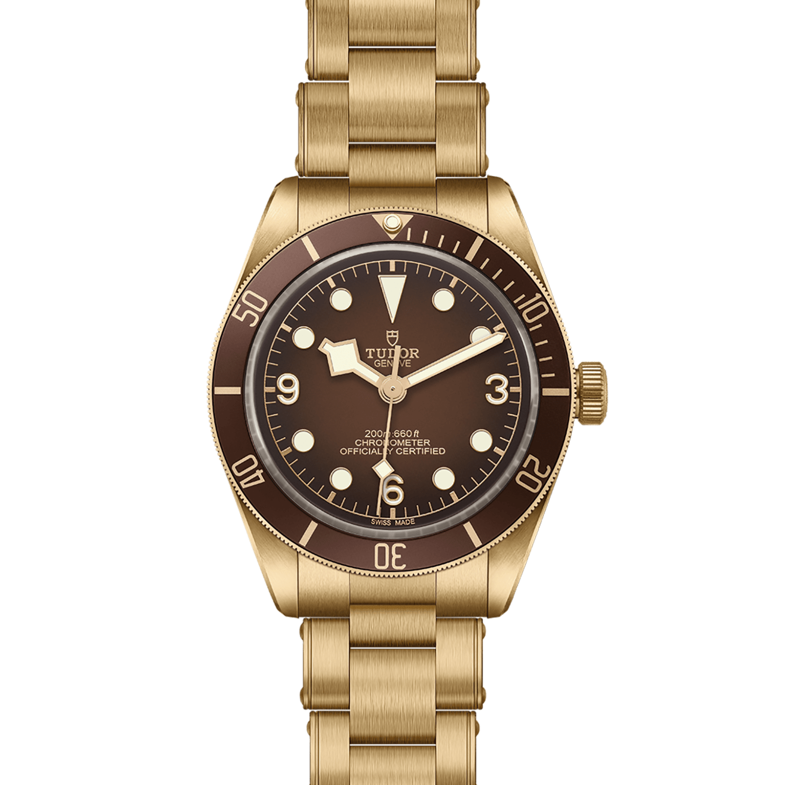 TUDOR Black Bay 58 Bronze 39mm satin-brushed bronze case whose colour evolves to match its user’s habits - M79012M-0001 at Pons 1845