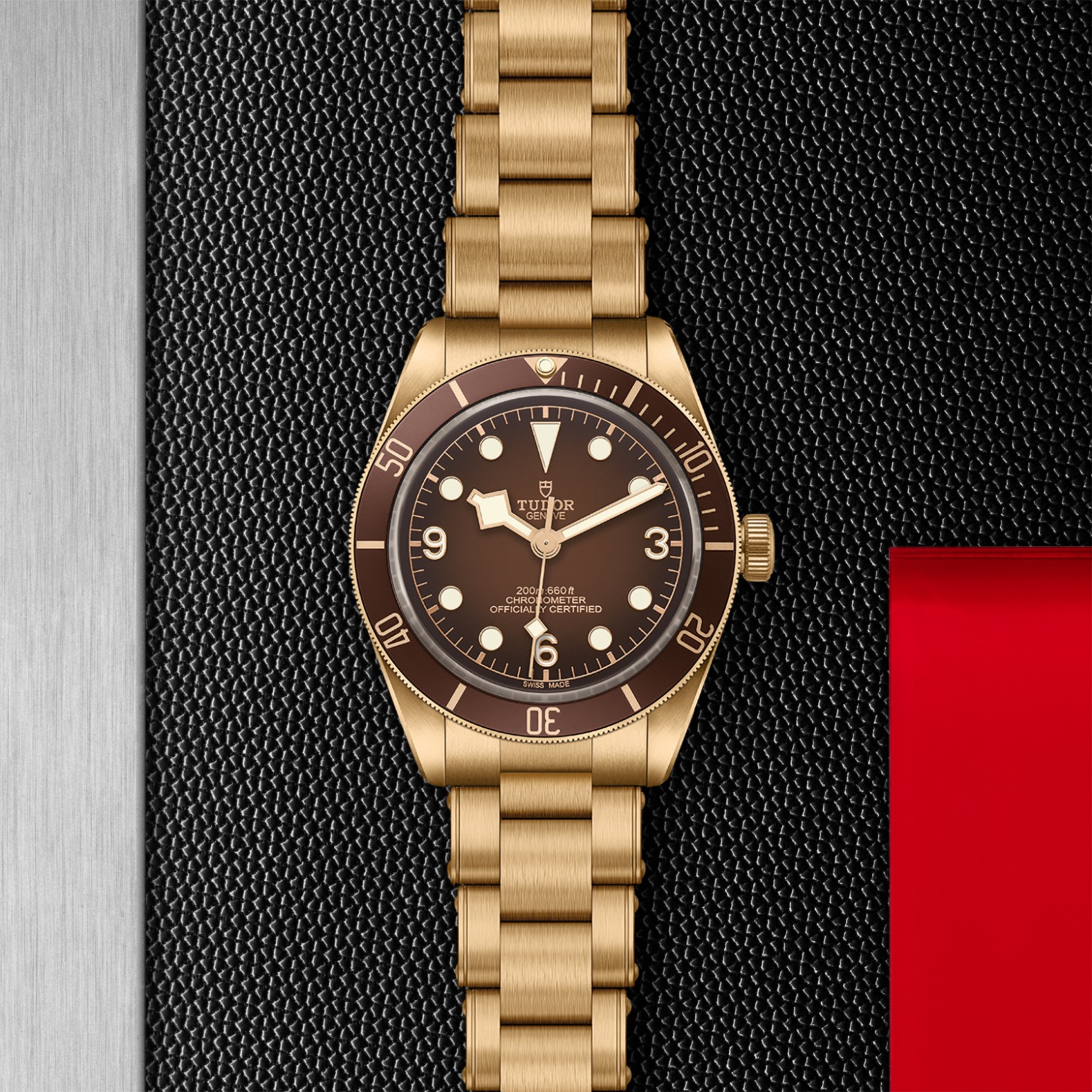 TUDOR Black Bay 58 Bronze 39mm satin-brushed bronze case whose colour evolves to match its user’s habits - M79012M-0001 at Pons 1845