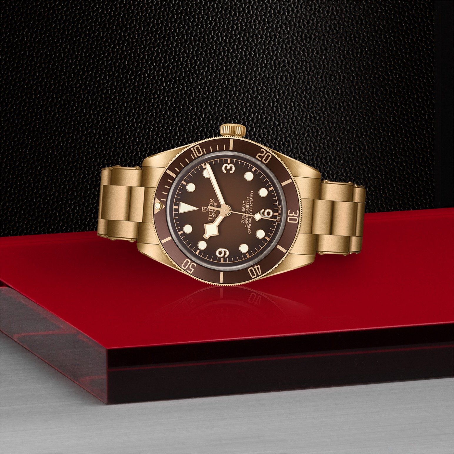 TUDOR Black Bay 58 Bronze 39mm satin-brushed bronze case whose colour evolves to match its user’s habits - M79012M-0001 at Pons 1845