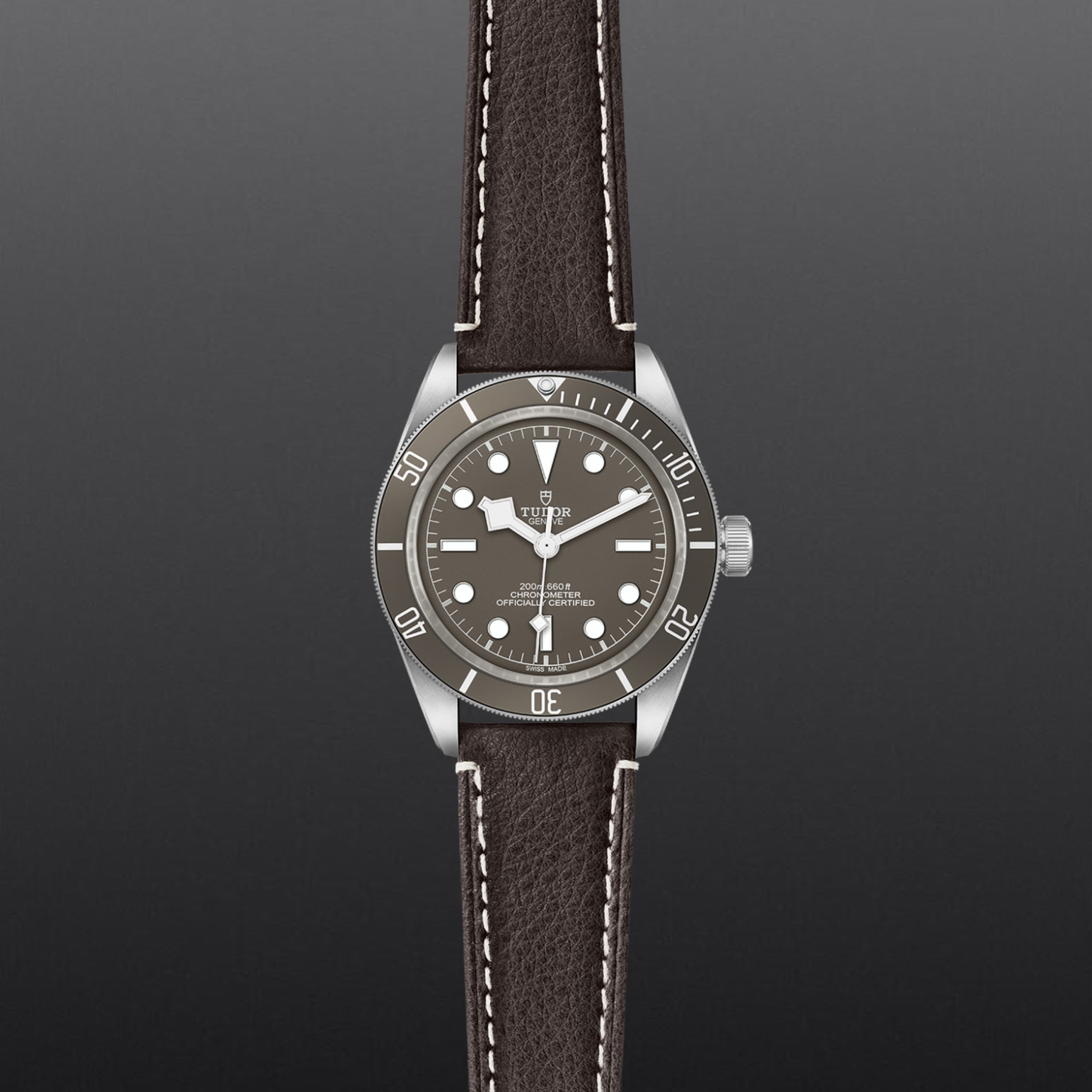 TUDOR Black Bay 58 925 39mm 925 silver case, satin finished Open case back with sapphire crystal - M79010SG-0001 at Pons 1845