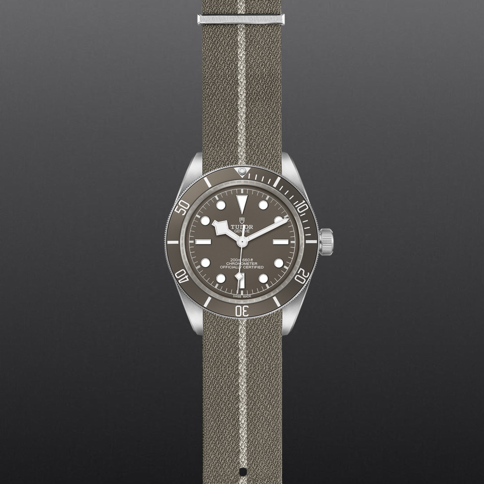 TUDOR Black Bay 58 925 Caja de plata 925, 39 mm, acabado satinado 
Fondo abierto con cristal de zafiro - M79010SG-0002 en Pons 1845