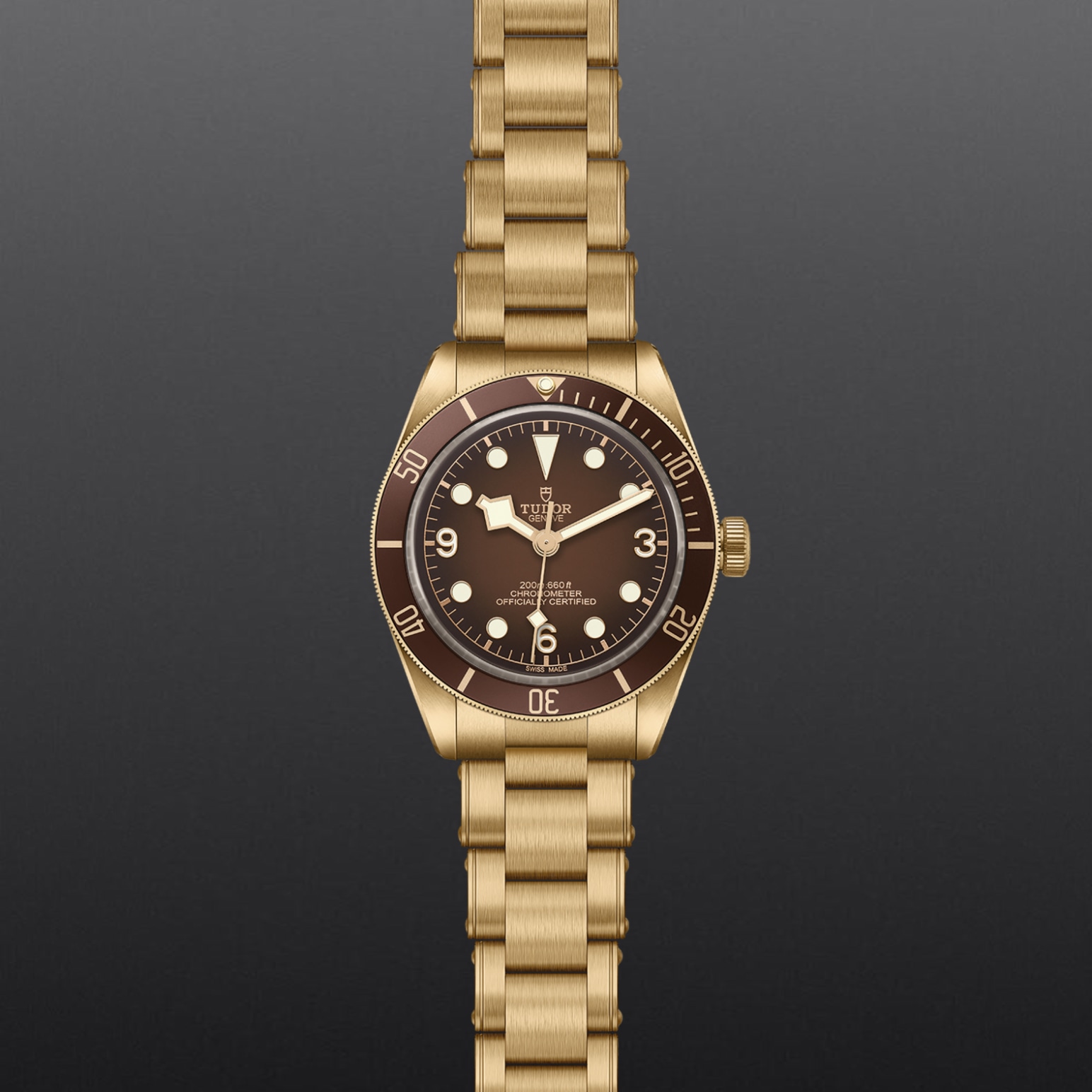 TUDOR Black Bay 58 Bronze 39mm satin-brushed bronze case whose colour evolves to match its user’s habits - M79012M-0001 at Pons 1845