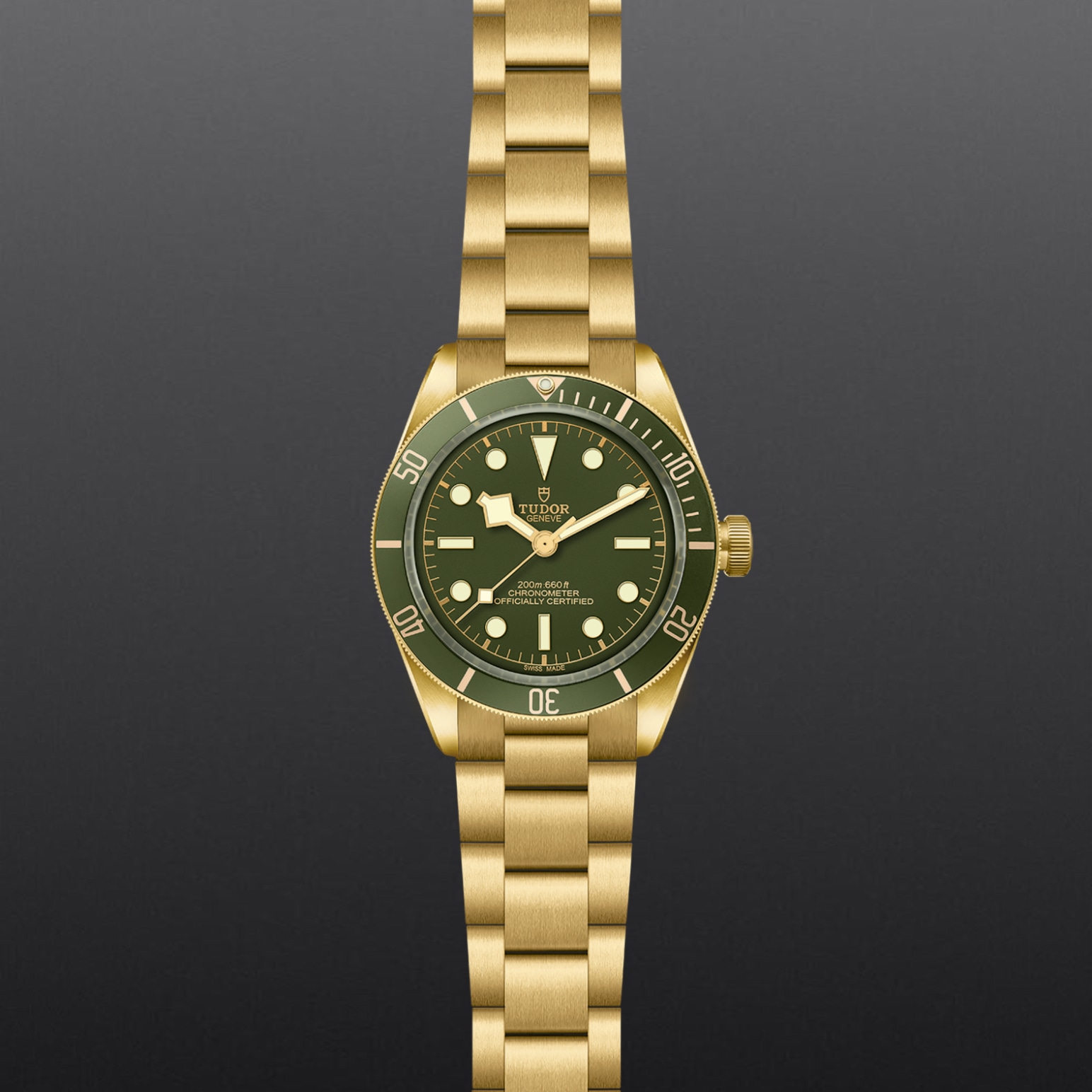 TUDOR Black Bay 58 18K 39mm case, satin finished, in 18 ct yellow gold Open case back with sapphire crystal - M79018V-0006 at Pons 1845