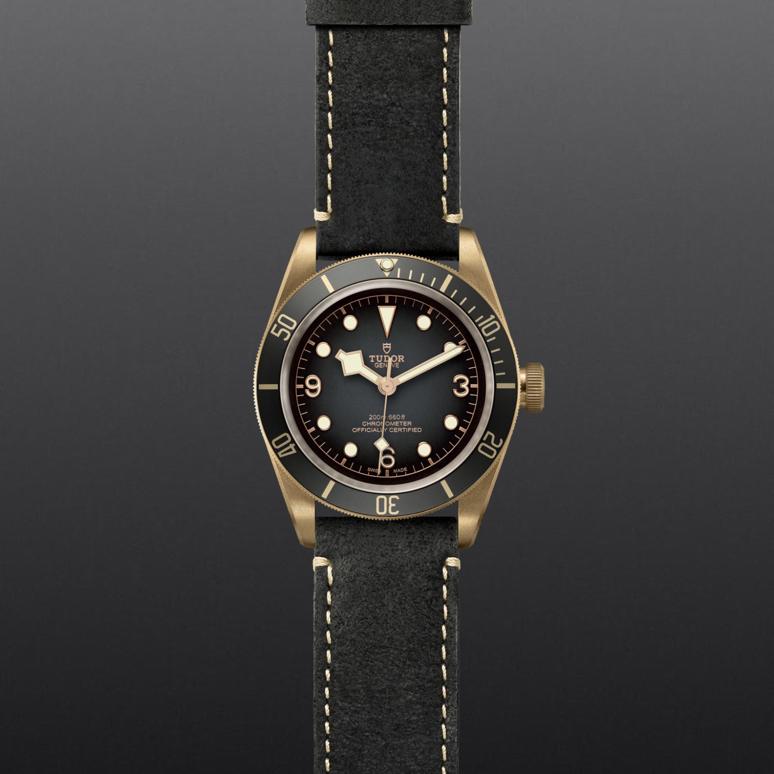 TUDOR Black Bay Bronze 43mm bronze case with bronze-coloured PVD-treated steel case back and satin finish - M79250BA-0001 at Pons 1845