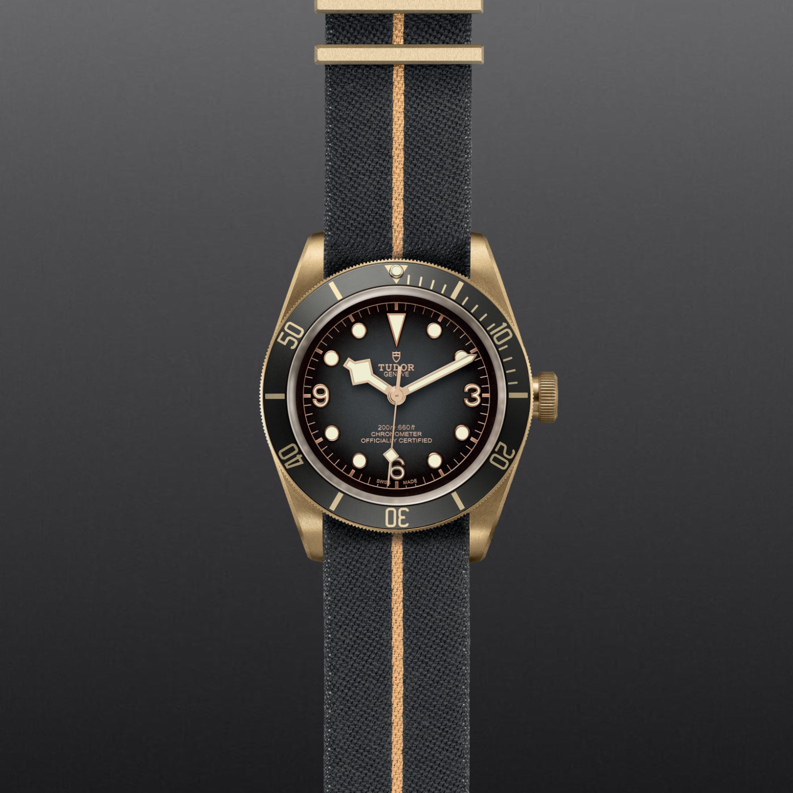 TUDOR Black Bay Bronze 43mm bronze case with bronze-coloured PVD-treated steel case back and satin finish - M79250BA-0002 at Pons 1845
