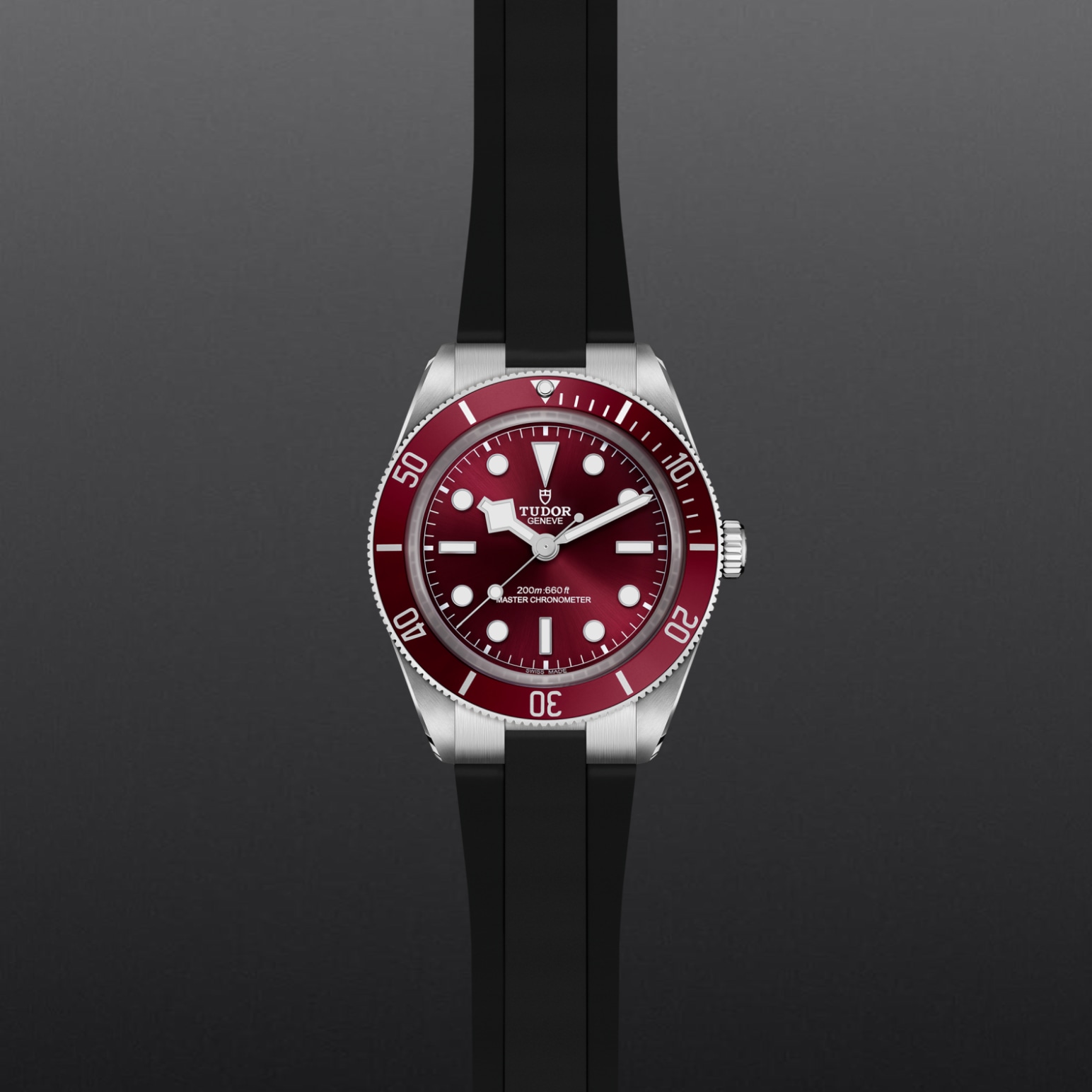 TUDOR Black Bay 58 Caja de 39 mm de acero inoxidable, acabados pulidos y satinados - M7939A1A0RU-0003 en Pons 1845