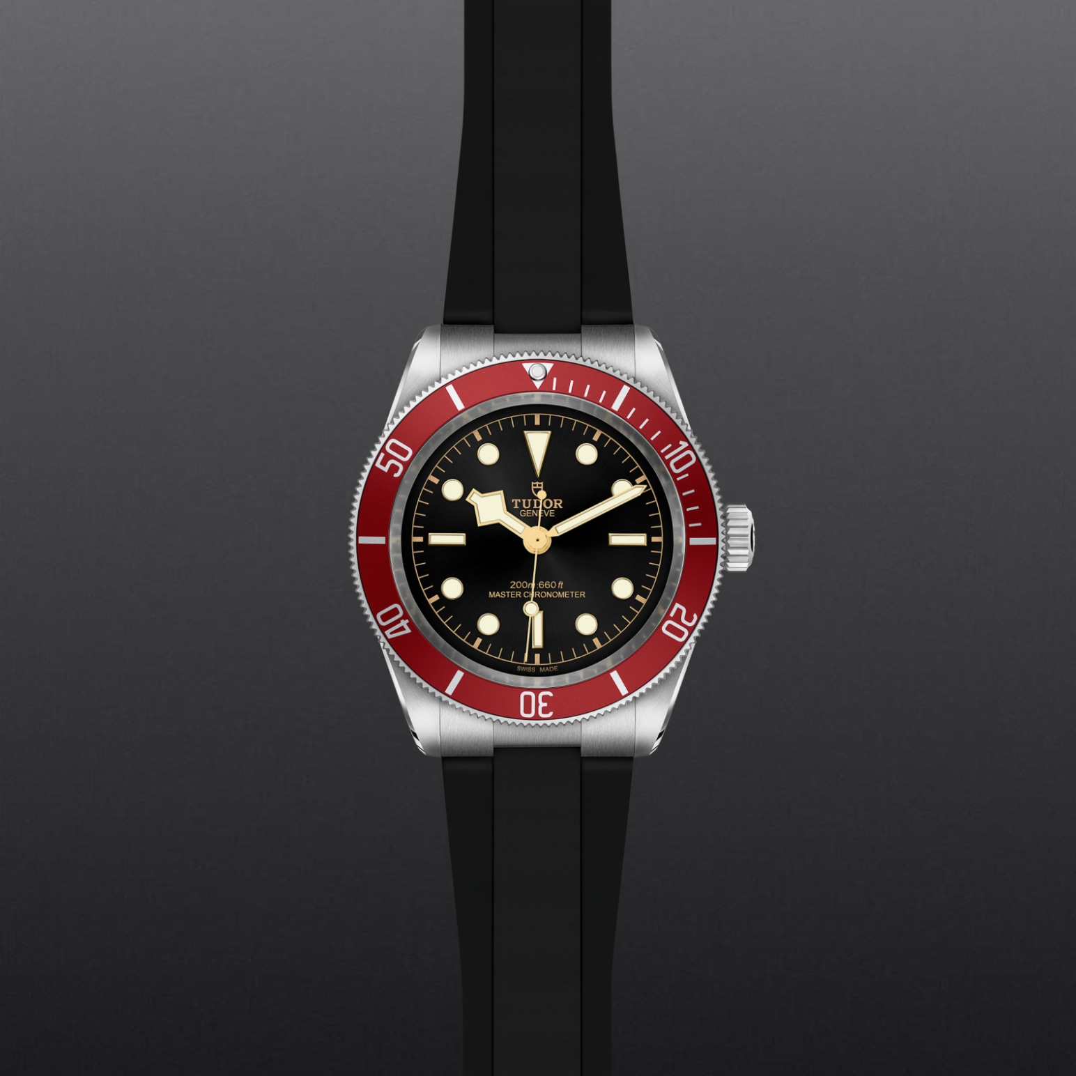 TUDOR Black Bay 41mm stainless steel case with polished and satin finish - M7941A1A0RU-0002 at Pons 1845