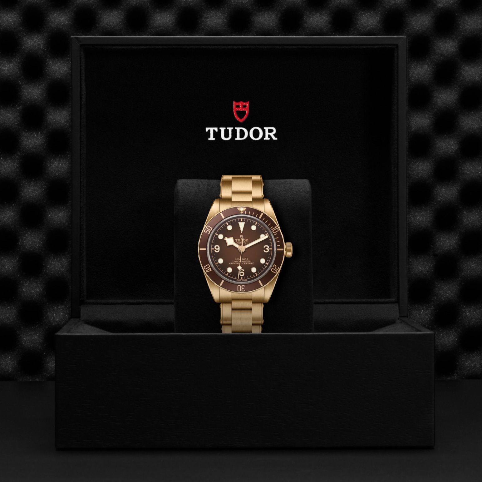TUDOR Black Bay 58 Bronze 39mm satin-brushed bronze case whose colour evolves to match its user’s habits - M79012M-0001 at Pons 1845