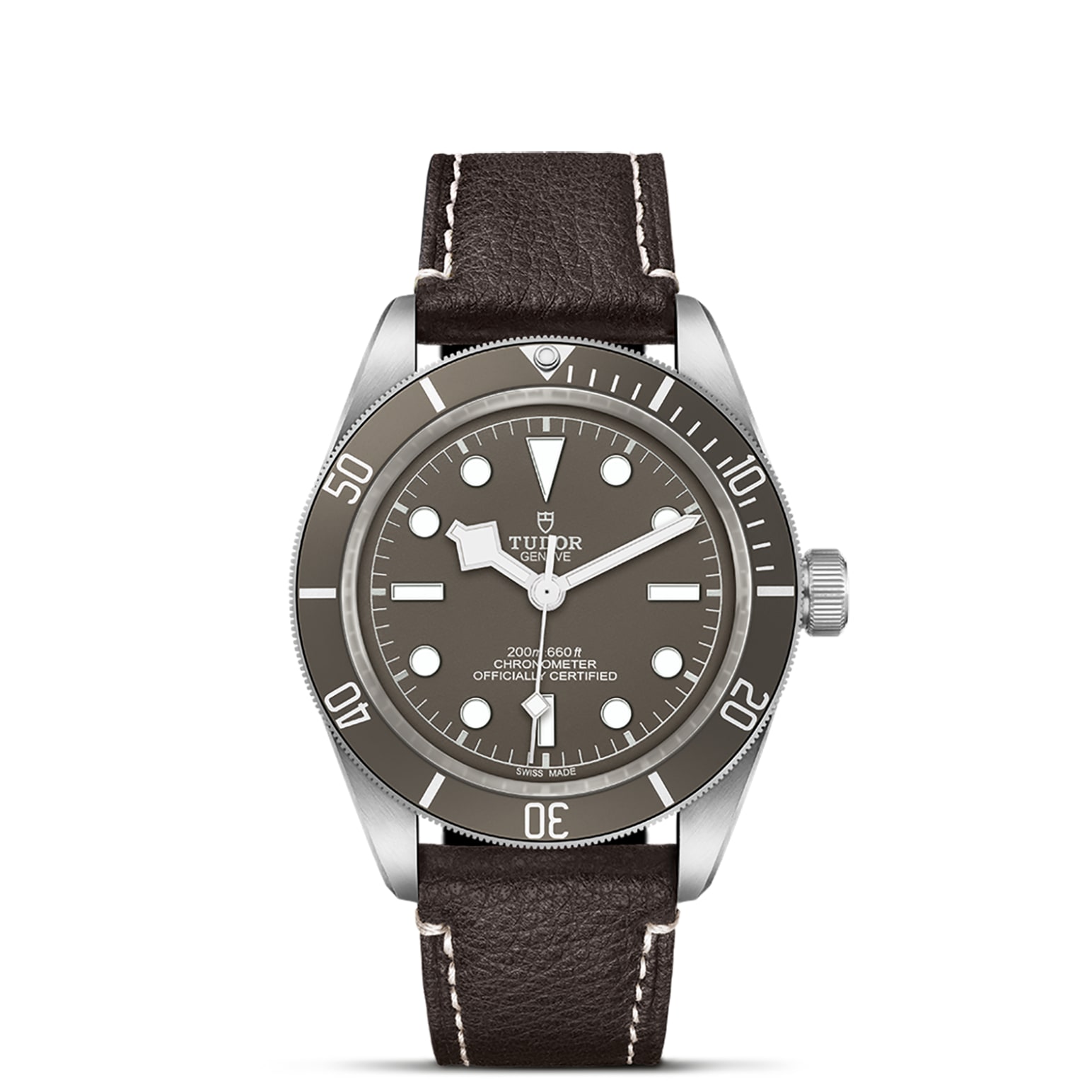 TUDOR Black Bay 58 925 39mm 925 silver case, satin finished Open case back with sapphire crystal - M79010SG-0001 at Pons 1845
