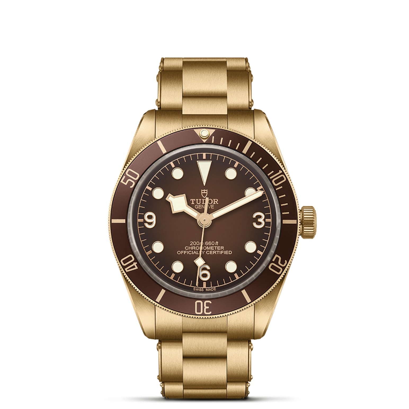 TUDOR Black Bay 58 Bronze 39mm satin-brushed bronze case whose colour evolves to match its user’s habits - M79012M-0001 at Pons 1845